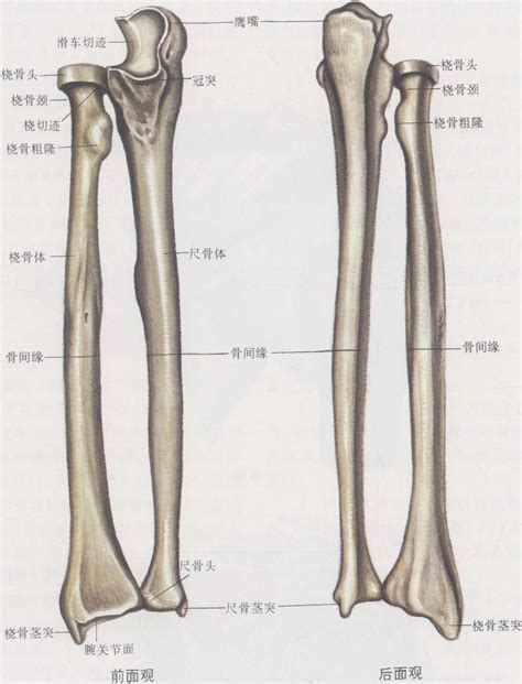 右是哪裏